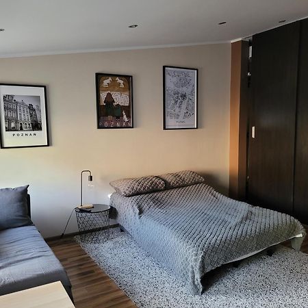 פוזנן City Centre Studio מראה חיצוני תמונה